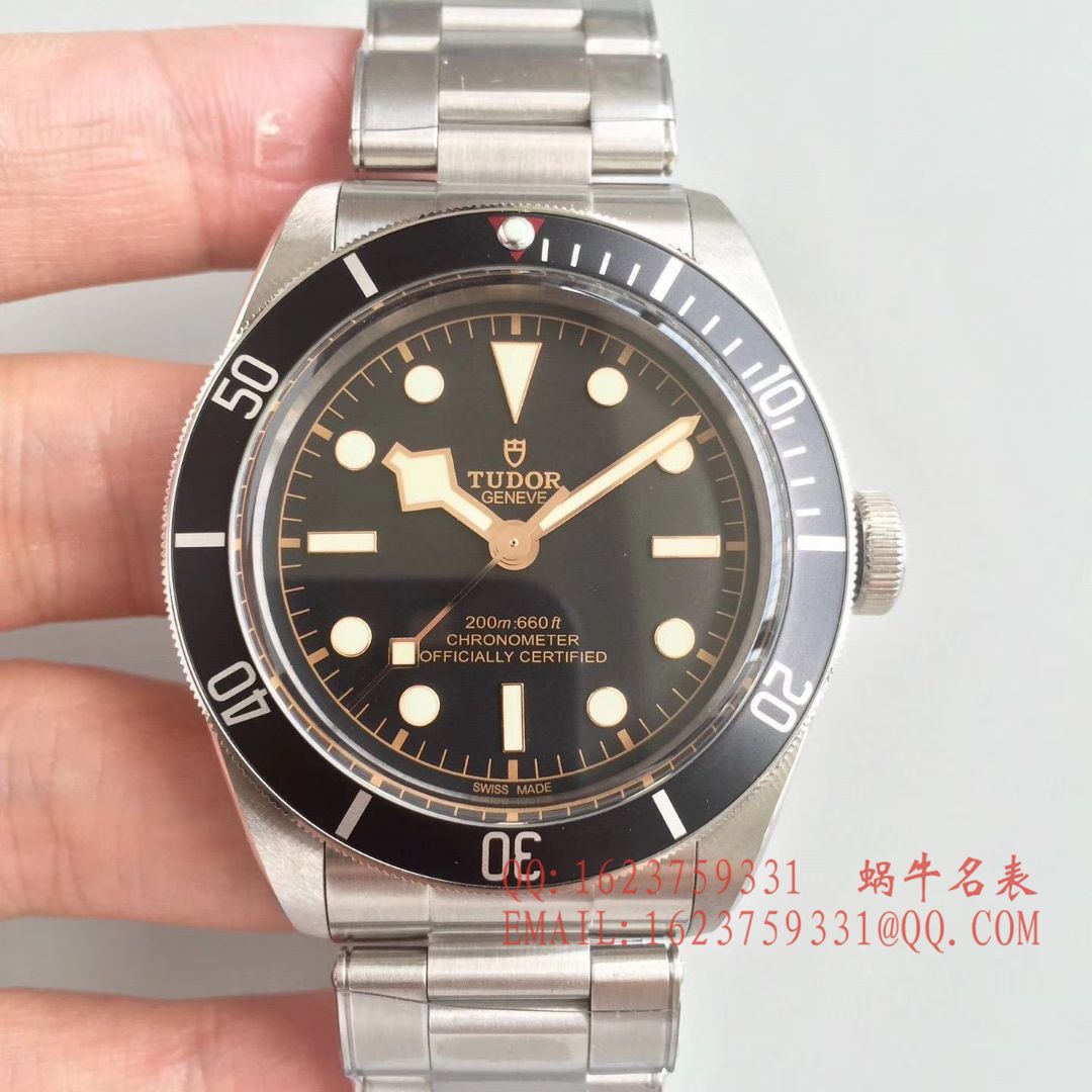 【ZF Factory  Perfect  Replica Copy  Watches 】 Replica  Tudor HERITAGE BLACK BAY系列79220N “ Tudor 小黑花”  wrist watches  / DT016