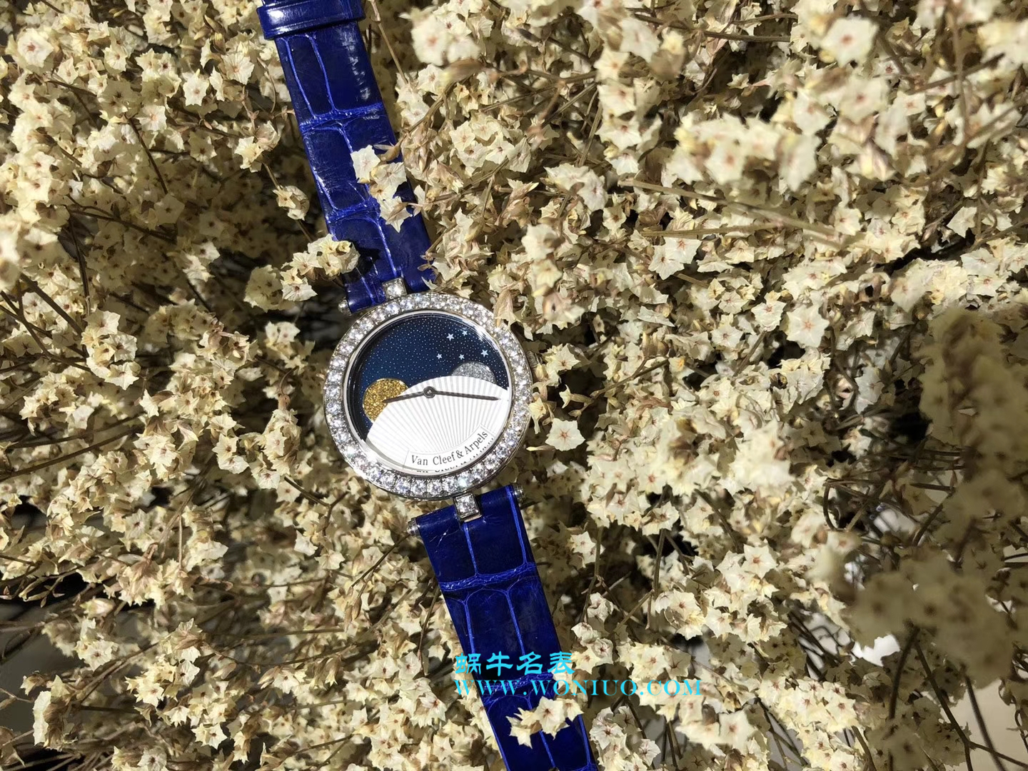 VCA梵克雅宝诗意复杂功能 wrist watches 系列VCARN25800女士 wrist watches  / VCA03