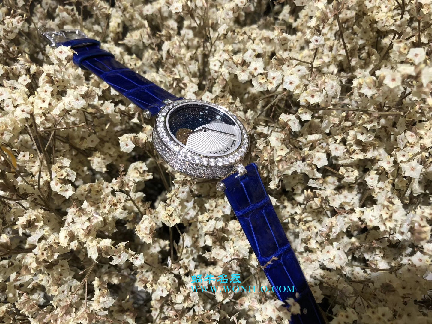 VCA梵克雅宝诗意复杂功能 wrist watches 系列VCARN25800女士 wrist watches  / VCA03