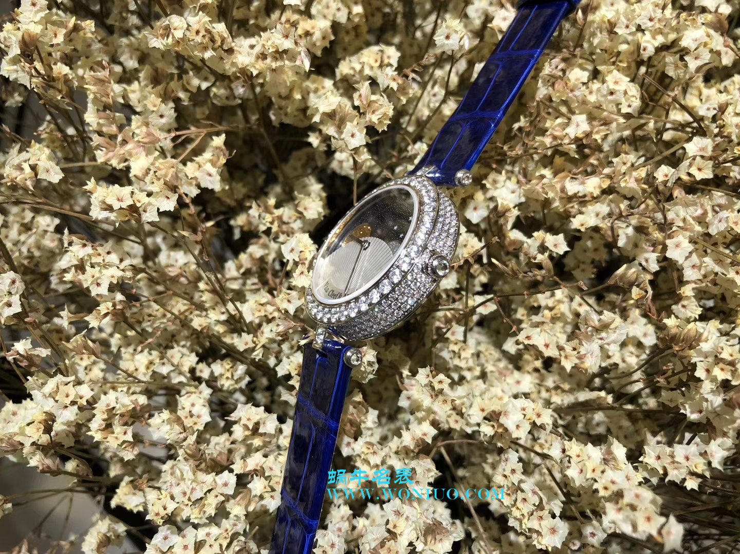 VCA梵克雅宝诗意复杂功能 wrist watches 系列VCARN25800女士 wrist watches  / VCA03
