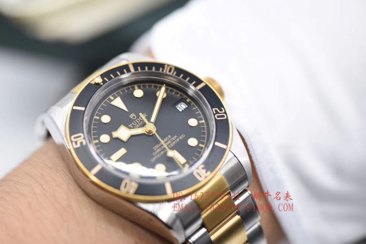 【ZF Factory  Tudor  Replica Copy  Watches 】 Tudor 碧湾系列M79733N-0004 wrist watches  / DT039